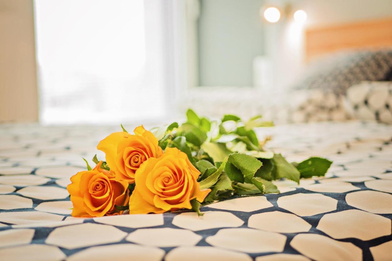 פוזנן Apartamenty Homely Place Blisko Starego Rynku - Parking מראה חיצוני תמונה